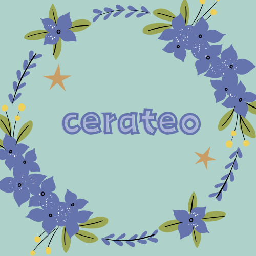 Deposit and Payment - Live Stream